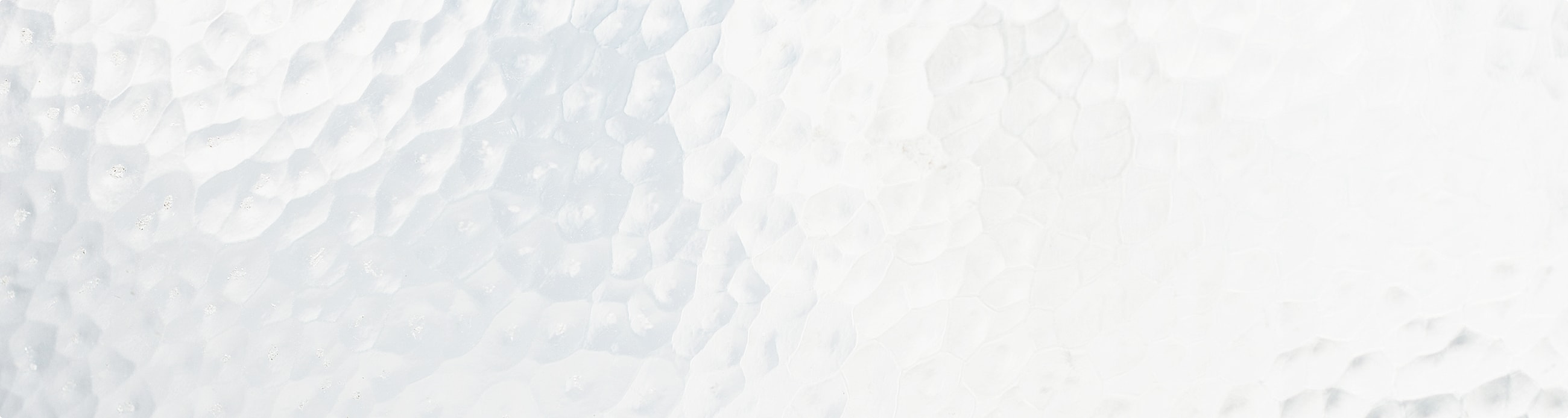 Light gray textured background with subtle patterns.
