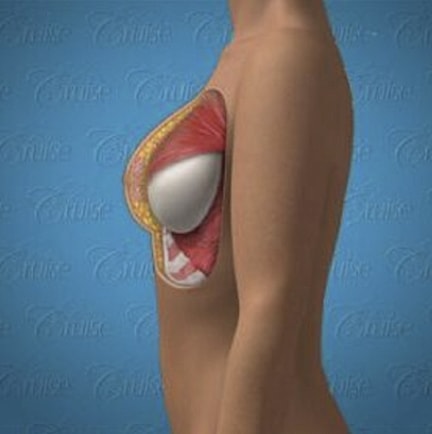 Anatomical illustration of human breast structure.