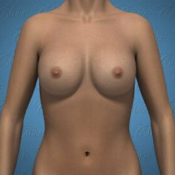 3D model of a female torso without clothing