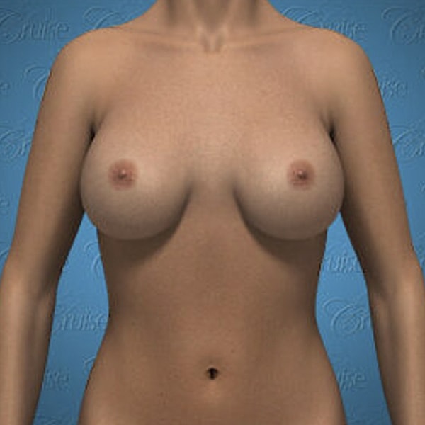 3D model of female upper torso.