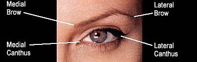 Labeled diagram of an eye anatomy.