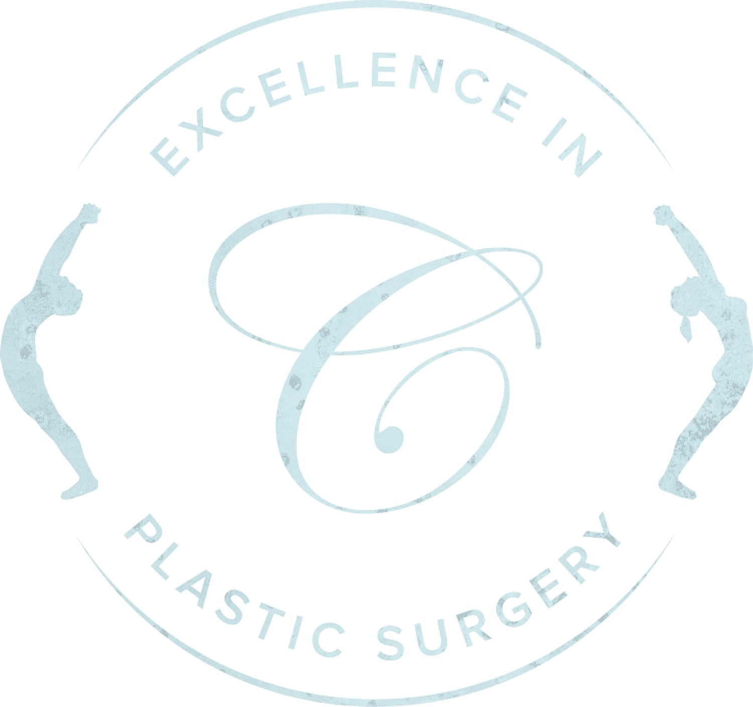 Logo for excellence in plastic surgery.