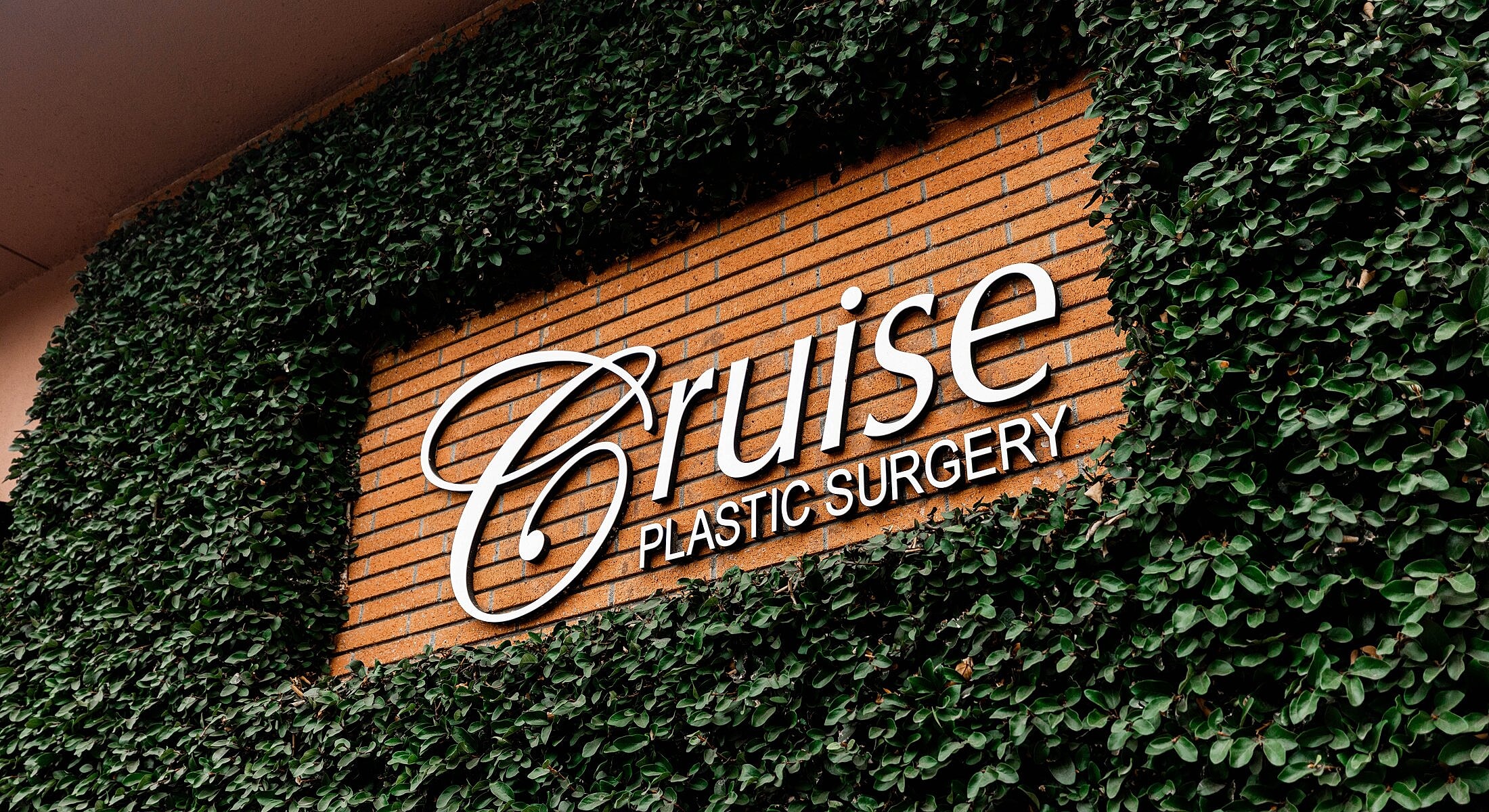 Cruise Plastic Surgery sign on green wall.